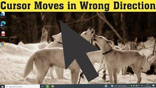 How To Fix Cursor Moves in Wrong Direction