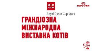 “Royal Canin Cup 2019” Ukraine - ODESSA