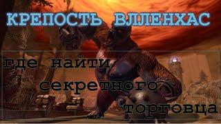 Где найти секретного торговца neverwinter online m18 (сумки/сундуки джумы и шмот из них)