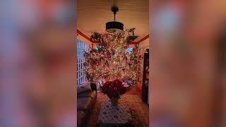 Christmas Tree Illusion in Connecticut Wows in Viral Video