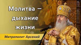 Проповедь митр. Арсения в Неделю 27-ю по Пятидесятнице об исцелении скорченной женщины. 10.12.23 г.