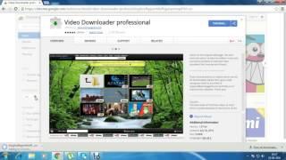 best chrome video downloader, Video Downloader professional