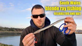 Blonde ray fishing - Reliable rig and bait