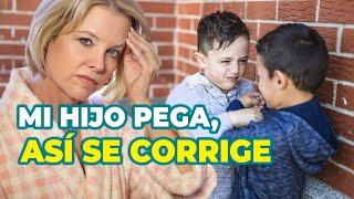 ESTRATEGIAS EFICACES PARA CORREGIR A UN NIÑO QUE PEGA - INSTITUTO PARA PADRES