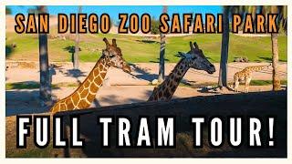 Africa Tram Tour | San Diego Zoo Safari Park | FULL RIDE Experience POV 4K