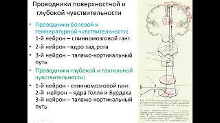 2. Чувствительность