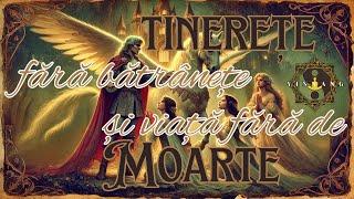 Tinerețe fără bătrânețe și Viață fără de Moarte | BASM românesc | Petre Ispirescu