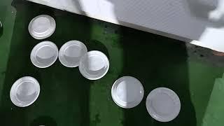 Plastic Plate / Tray Making -Thermoforming Machine