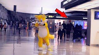 TAILS GETS KICKED OUT OF AN AIRPORT!!!