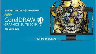 Hướng dẫn Cài đặt và giới thiệu về CorelDraw Graphics 2019