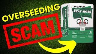 DO NOT Use Peatmoss When OVERSEEDING #scam #peatmoss #overseed