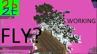 How To Fly 2b2t NO elytra 2020 / 2021 Working  + dupe! Works with 2 people at once!  Impact?