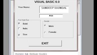 Learn Visual Basic 6.0- Frame Control,Check Box and Option Buttons in vb - Step by Step Tutorial