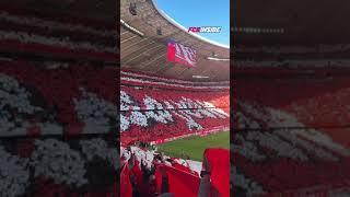  125 Jahre FC Bayern: Mega-Choreo in der Allianz Arena #fcbayern #bayernmunich