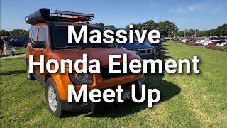 Massive Honda Element Meet Up