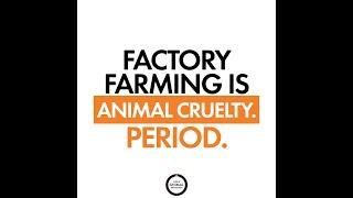 Factory farming contributes to AMR ( Antimicrobial Resistance)