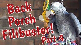 Einstein's Back Porch Filibuster  4️⃣ PART FOUR  4️⃣