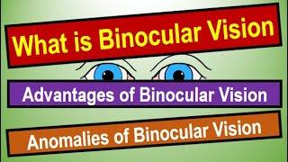 BINOCULAR VISION: Binocular Vision: tests, grades, and treatment. #binocularvision