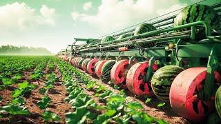 Amazing Agriculture Machines Operating At An INSANE LEVEL