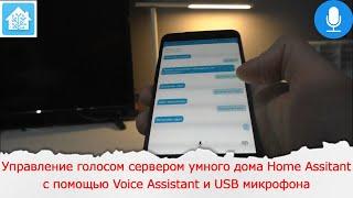 Управление голосом сервером умного дома Home Assitant с помощью Voice Assistant и USB микрофона