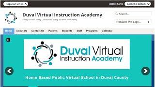 What is Duval Virtual Instruction Academy?