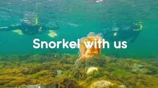 Snorkel with us in Ketchikan, Alaska.