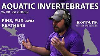 Aquatic Invertebrates | Fins, Fur, and Feathers Episode 23