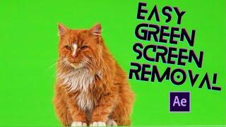 HOW TO REMOVE GREEN SCREEN  (1 MINUTE)