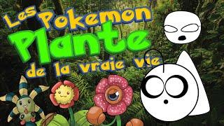 Point Culture : les Pokémon PLANTE de la vraie vie !