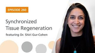 Synchronized Tissue Regeneration featuring Dr. Shiri Gur-Cohen | The Stem Cell Podcast