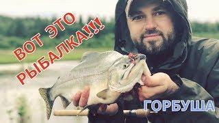 Ход ГОРБУШИ. Клюет КАЖДЫЙ ЗАБРОС! Азартная ловля ГОРБУШИ / NIBBLE OF SALMON 2019