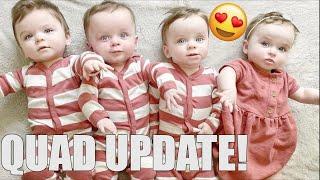 QUADRUPLETS ONE YEAR UPDATE! | DEVELOPMENT, BEHAVIOR, MILESTONES, ETC. | FAMILY VLOG