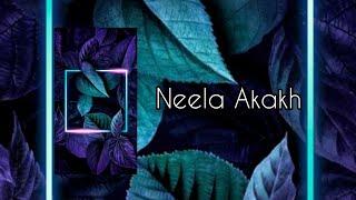 NEELA AKAKH || YAMAN x NIKHIL || Assamese EDM Song 2021