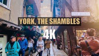 YORK, THE SHAMBLES | Walking Tour 2024 | 4K HDR | Shambles Market