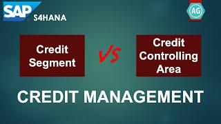 What's the difference between Credit Segment and Credit Controlling Area in SAP S4HANA