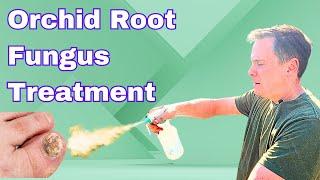 Using Banrot and Thiomyl to Kill Fungus on Orchid Roots