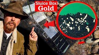Sluice Box Gold - Gold Panning #askjeffwilliams