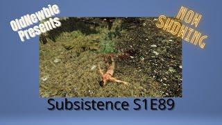 Subsistence | Lets play S1E89 | 500+ days ingame | Wildlife vs OldNewbie 3-0