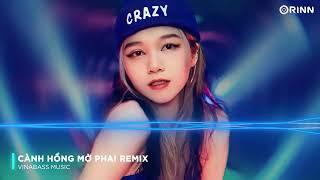 MIXTAPE CÁNH HỒNG MỜ PHAI REMIX - THƯƠNG THAY PHẬN HỒNG NHAN CẢ ĐỜI CHỈ YÊU MỘT NGƯỜI REMIX