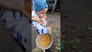 Teo & chicken's farm #babyboss #Teo #child #ukraine #junior