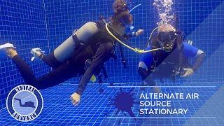 Diving Rescue Tips: Alternate Air Source  PADI Divemaster Skills Circuit (Scuba Diving Tutorial)