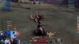 AION 2022 Spiritmaster Open World PVP in 8.0