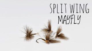 Split Wing Mayfly - Quick Step By Step / TroutCastz