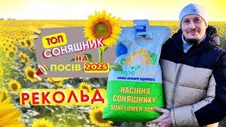 ТОП СОНЯШНИК НА ПОСІВ 2025  ГІБРИД РЕКЛЬД 