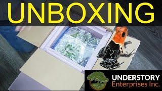 Huge Dart Frog Unboxing!! (Understory Enterprises)