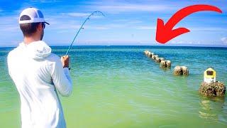 Beach Fishing LIVE Shrimp Along A Broken-Down Seawall