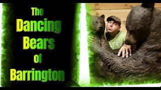 The Dancing Bears of Barrington