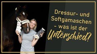 Dressur- und Softgamaschen - was ist der Unterschied?