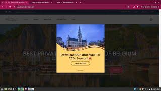 WordPress popup maker free responsive popup | beautiful popup code and settings totally free on WP