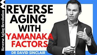 REVERSE AGING With Yamanaka Factors | Dr David Sinclair Interview Clips